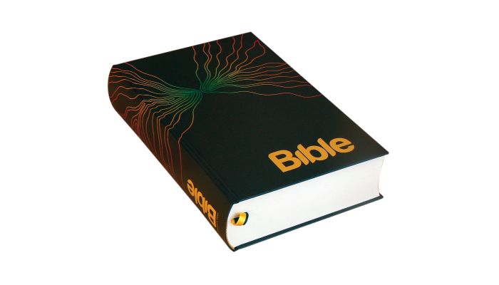 Bible 21