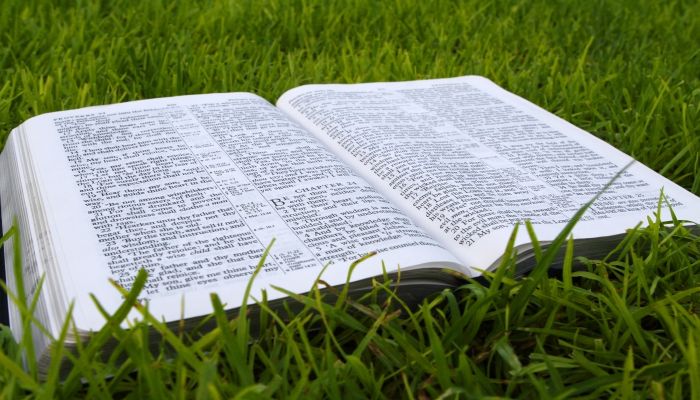 Bible v trávě