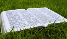 Bible v trávě