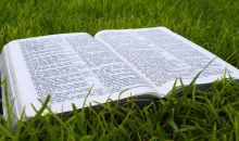 Bible v trv