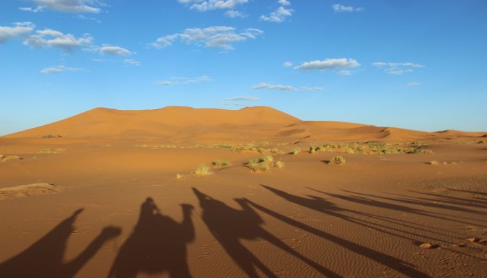 Sahara