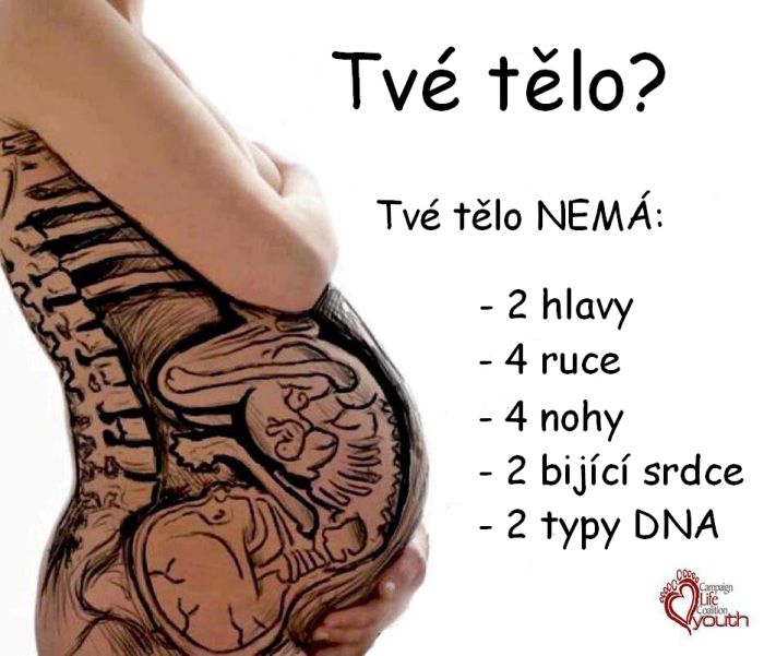 Tv tlo?